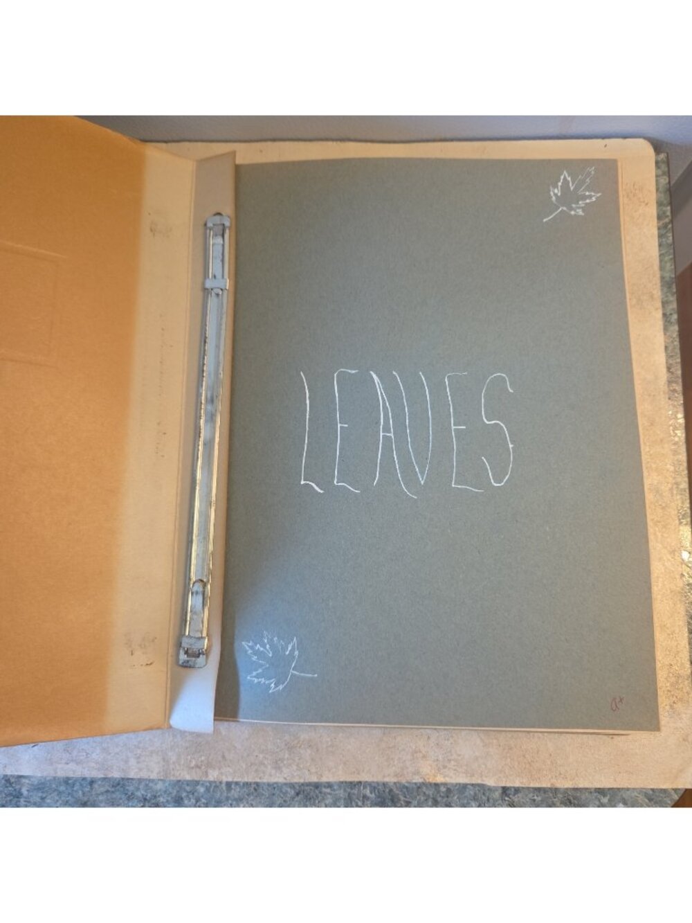 LEAVES Soft Cover Book from Biology Class 1965 Vtg Authentic OOAK